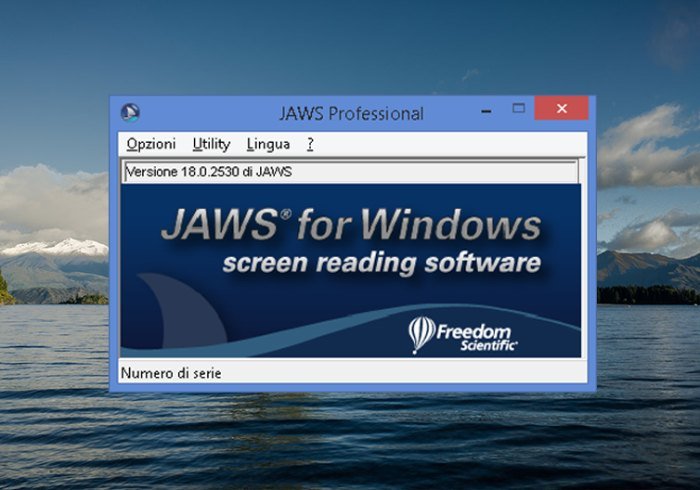 JAWS for Windows screen reading software interface